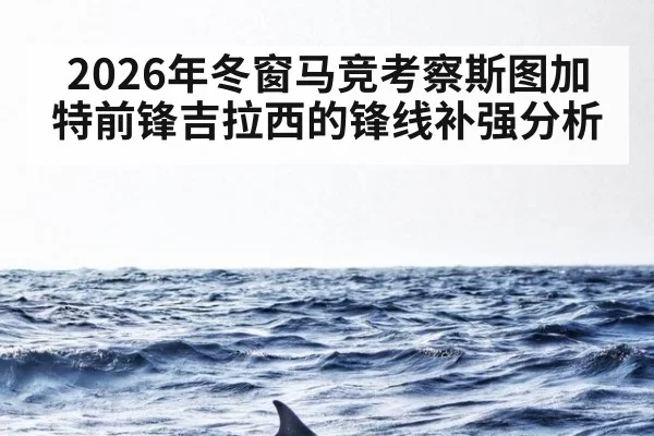 2026年冬窗马竞考察斯图加特前锋吉拉西的锋线补强分析